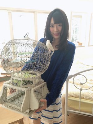 ぽんこつ?のサムネイル