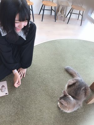 猫カフェ。、藤吉夏鈴。 - 画像4