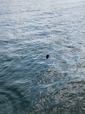お風呂入ろうと思っていつも約2時間は経過します。森田ひかるです。 - 画像7