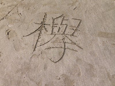 NEXT☆彡のサムネイル