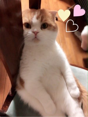 伝えたいことがあり過ぎて長くなっちゃいました(・o・) - 画像1