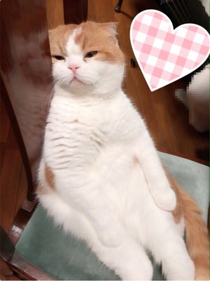 伝えたいことがあり過ぎて長くなっちゃいました(・o・) - 画像2