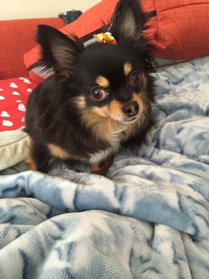 ❀✿久々の❀✿のサムネイル