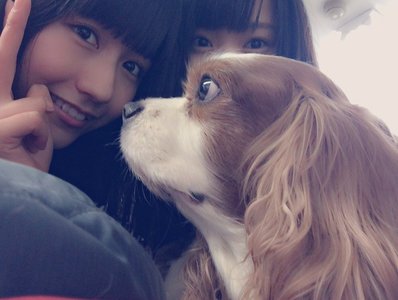 ♡わんちゃん♡のサムネイル