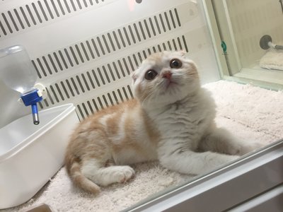 ララララジオ～♪のサムネイル