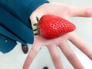 ｡.୨୧００１６７♡りな୨୧.｡ - 画像1