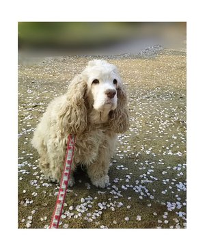 雨だけど、楽しい!のサムネイル