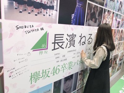 アニラ、339 - 画像3