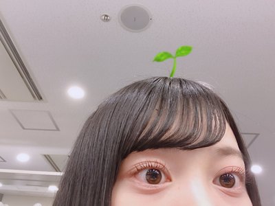 おにぎりは昆布と梅派 🍙 - 画像5