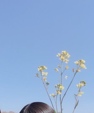 花粉症のサムネイル