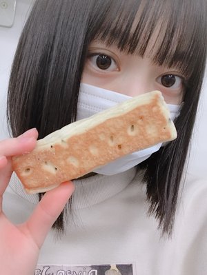 みなさんイカ派？タコ派？ - 画像3