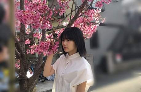 発売 - 画像2