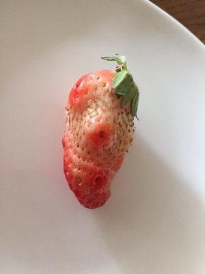 みなさんに質問です!女子力のあがるものがほしい。と言われたら何をあげますか？ - 画像1