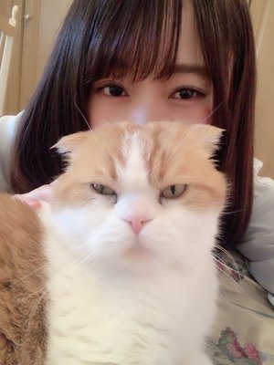 静岡プレミアム🍊🎀のサムネイル