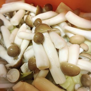 ４月２８日（1118）【宿曜占い】のサムネイル