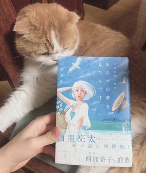 がんばれいわ！ - 画像9