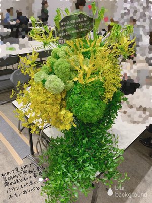 ５月４日（1128）【21歳生誕祭で泣く】 - 画像3