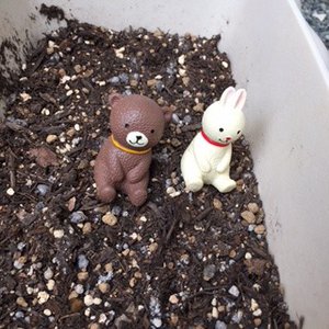 くまきちとうさみー。 - 画像1