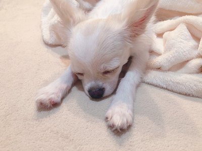 ☺︎︎のサムネイル