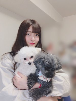 夏がくる！のサムネイル