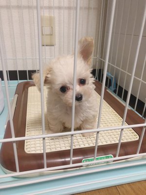 ブログの内容詰め込みがち。。 - 画像6