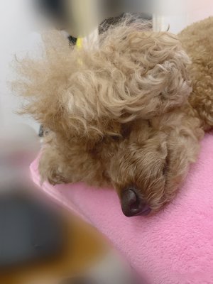 5月23日(1147)【素敵な】 - 画像1