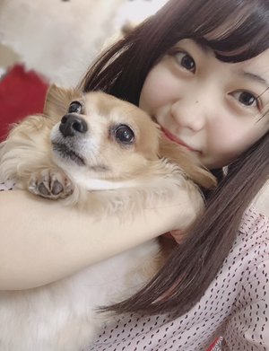 モアイ🗿のサムネイル