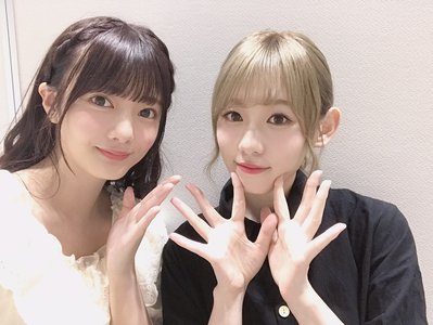チワワ？のサムネイル
