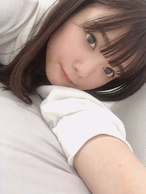 チワワ？ - 画像8