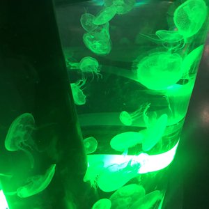 髪の毛 - 画像4