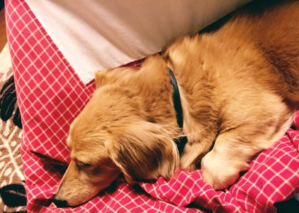 愛知に帰りたい気分。のサムネイル