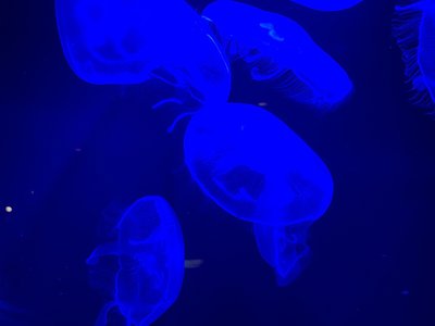 6月15日(1170)【世界】のサムネイル