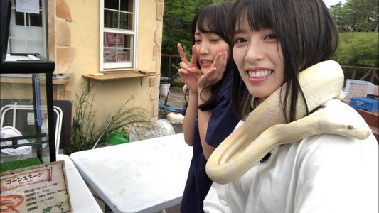 6月17日(1172)【那須ハイランドパーク🎢】のサムネイル