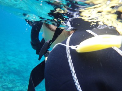 6月19日(1174)【Under_The_Sea】のサムネイル