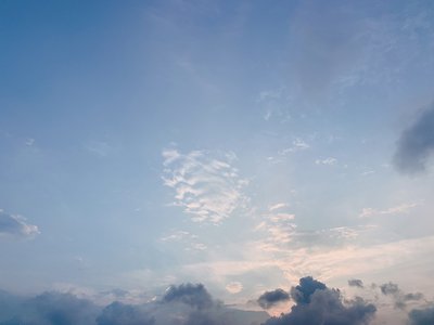 6月21日(1176)【サンド】 - 画像1