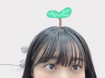 タイトルなしのサムネイル