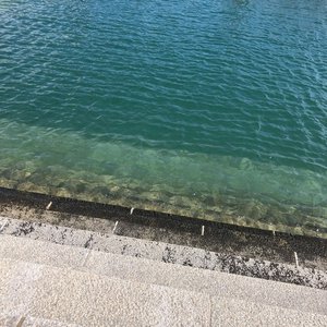 今日この頃のワタシ - 画像6