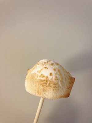 月2で画面を割ってしまう。 - 画像2