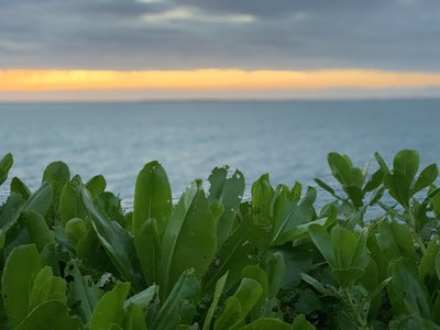 7月22日(1208)【セカアイの北海道に行きたい】 - 画像1