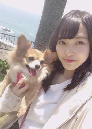 青島🌴のサムネイル