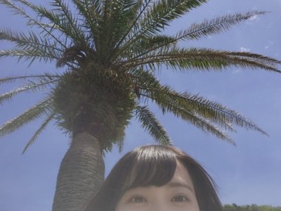 青島🌴 - 画像7