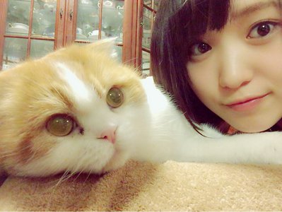 トムと♡ - 画像1