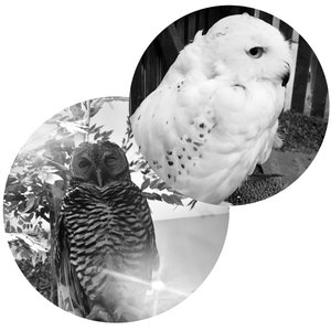 AEON_CARD_/_会員様限定イベント - 画像4