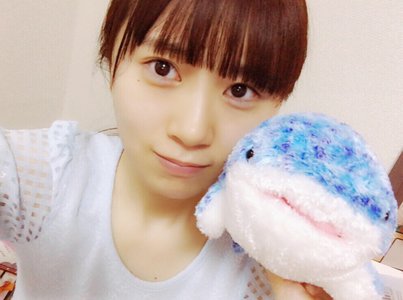 アオコのサムネイル