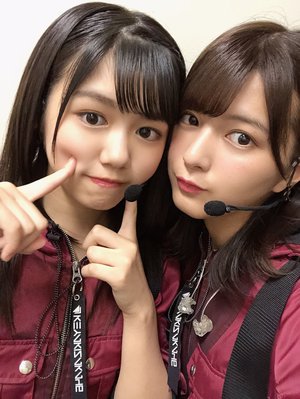 写真。のサムネイル
