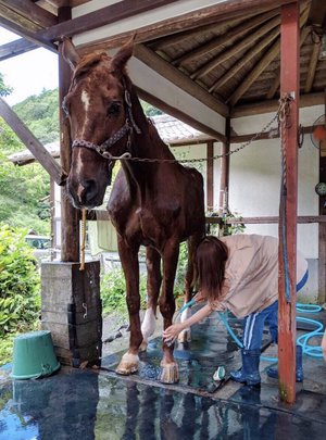 🍂バッカス🐴 - 画像6