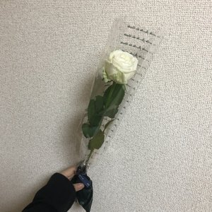 蔵王のクリームチーズにはまった👧🏻🌟 - 画像4