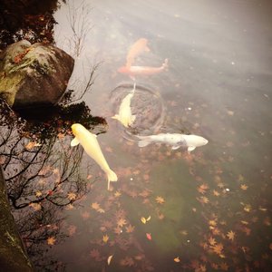 紅葉あんどツインテール - 画像2