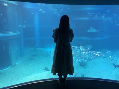 もうすぐのサムネイル