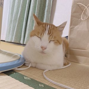 10月7日(1285)【何時間睡眠ですか？】のサムネイル